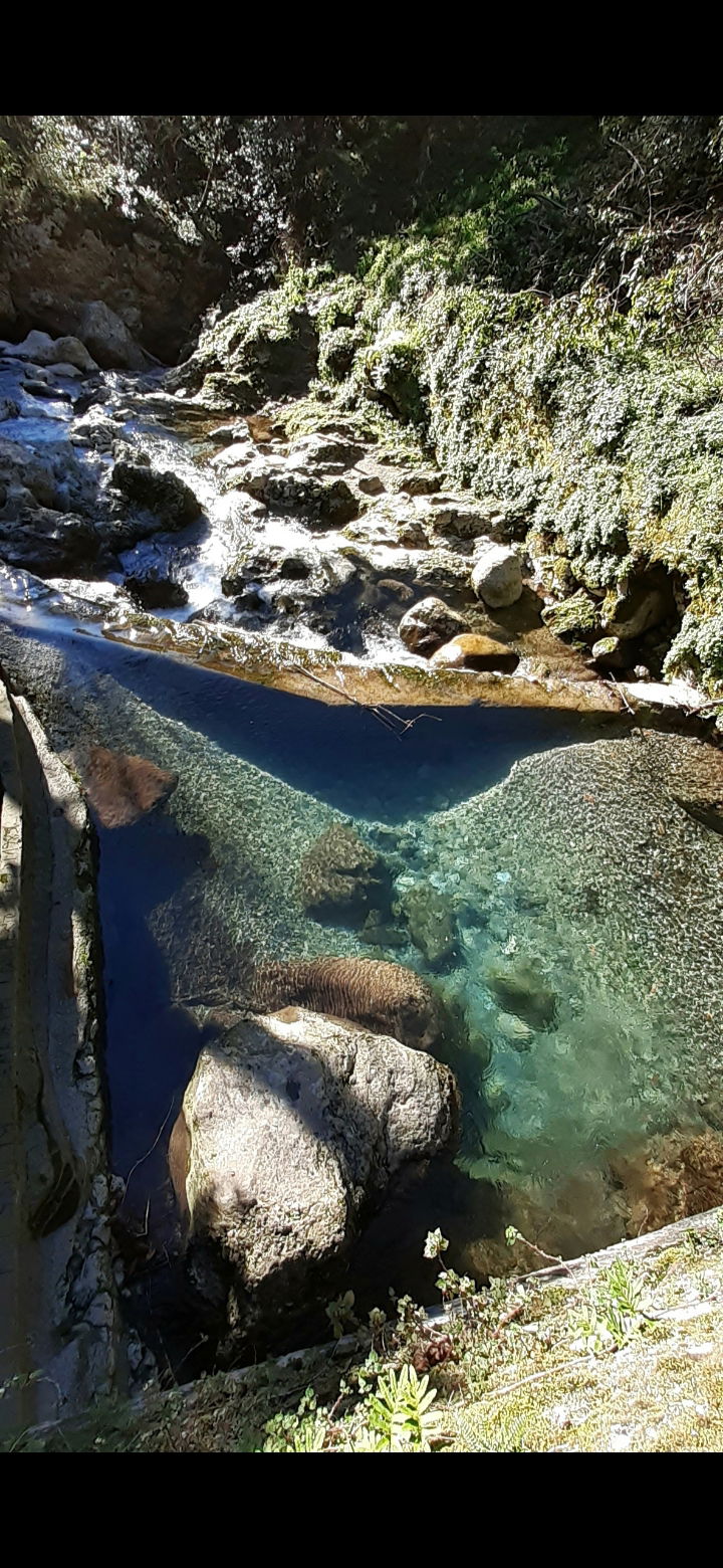 Collocazione Provincia di Lucca 267206