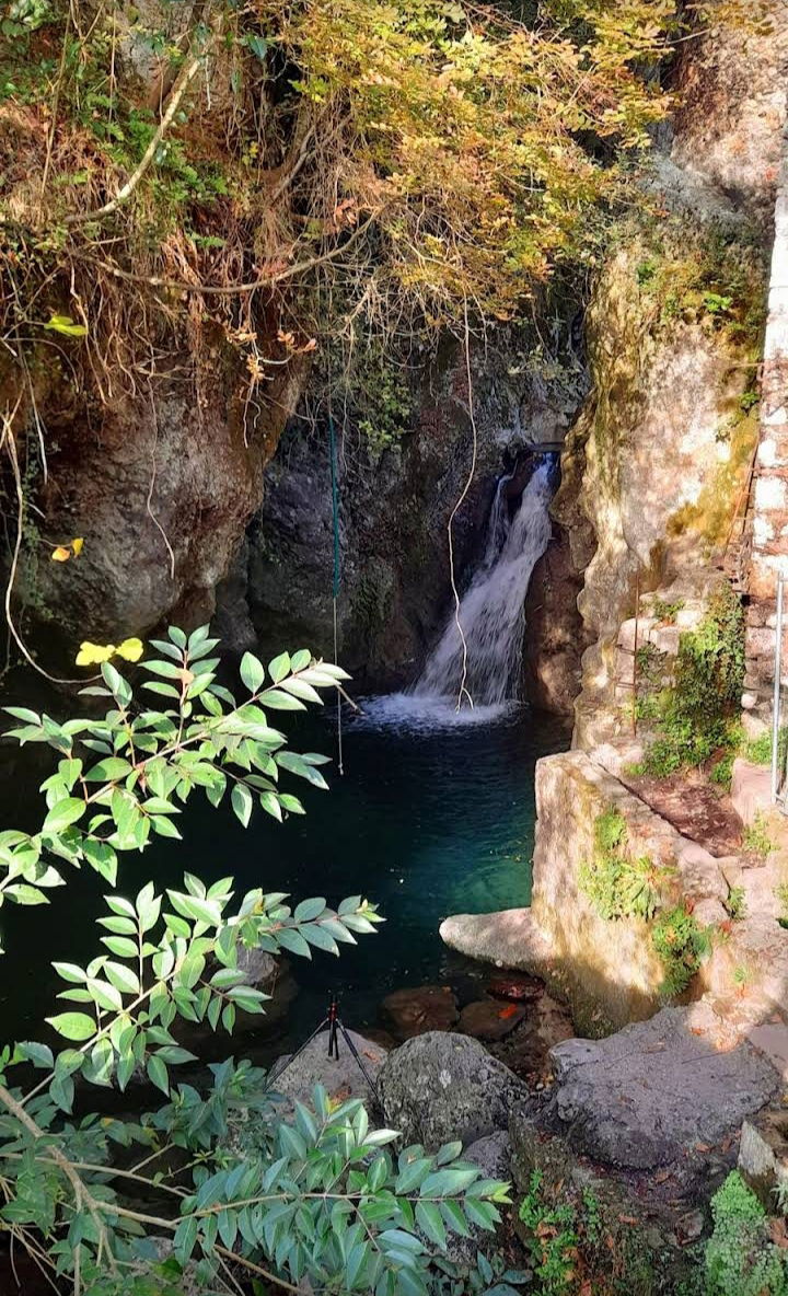 Collocazione Provincia di Lucca 267206