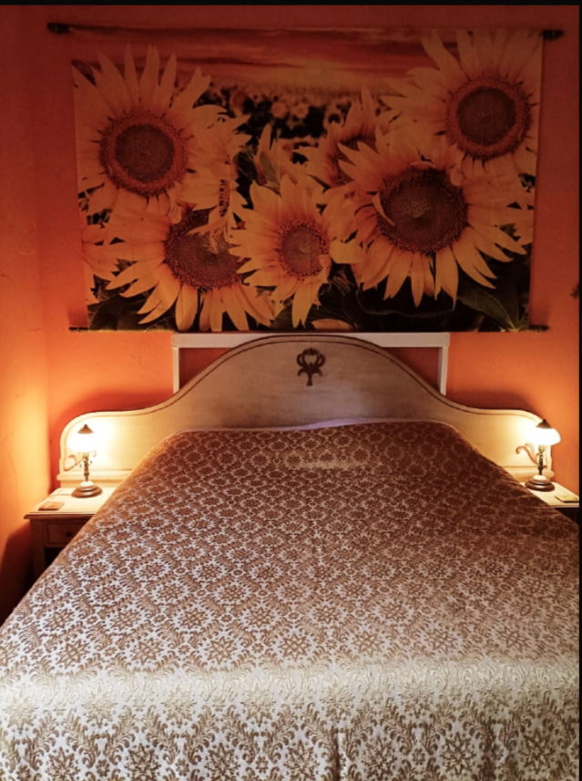 Collocazione Provincia di Lucca 267206