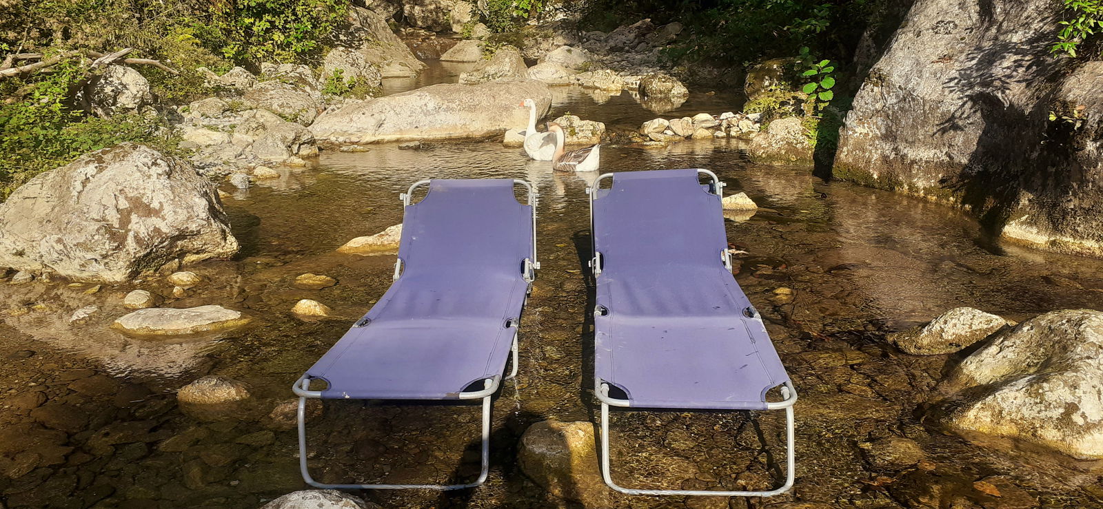 Collocazione Provincia di Lucca 267206