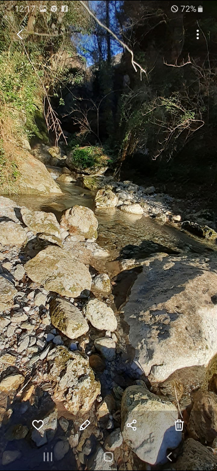 Collocazione Provincia di Lucca 267206