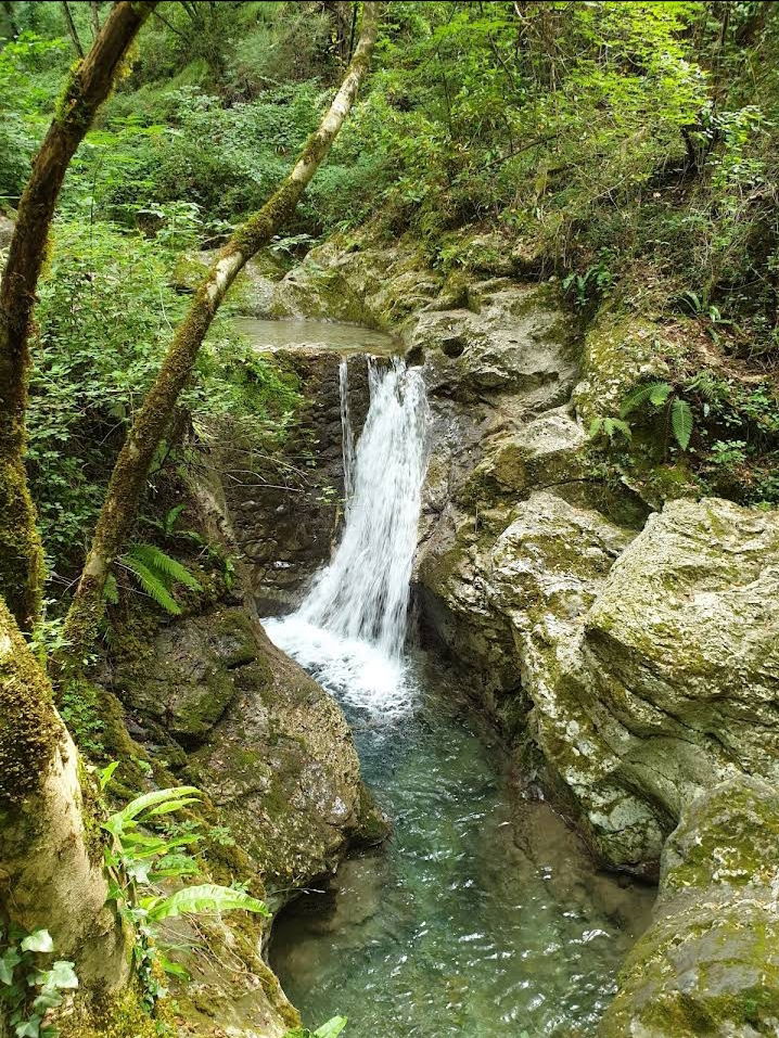 Collocazione Provincia di Lucca 267206