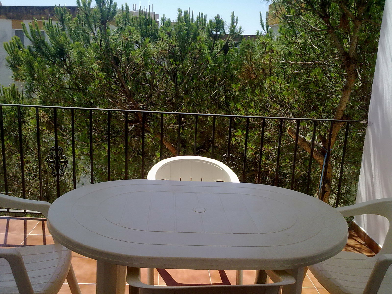 Colocação Moguer 124467