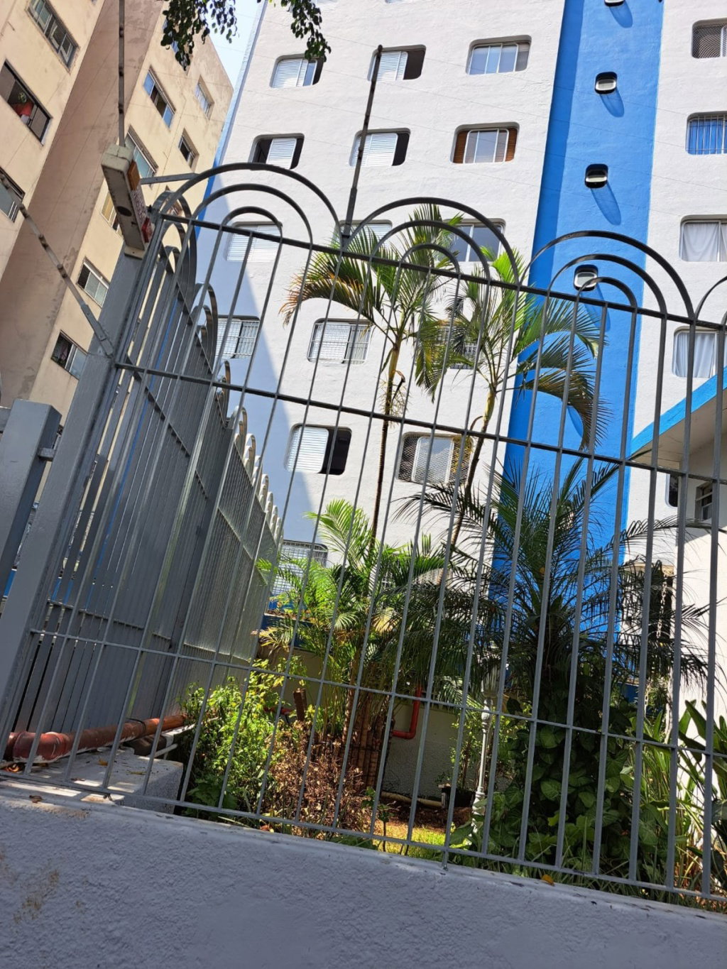 Homestay São Paulo 675611