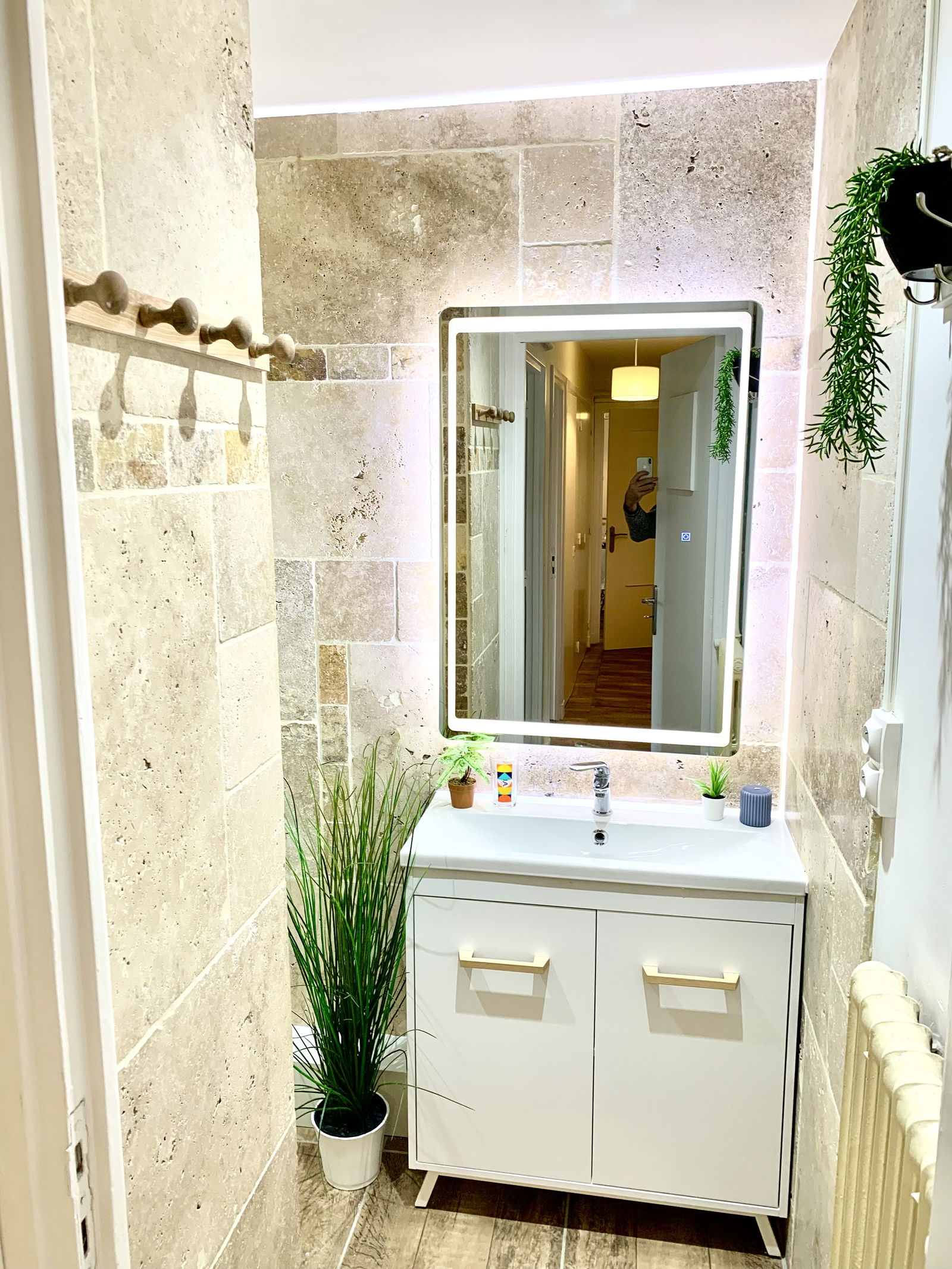 Kolokasie Lorient 477487