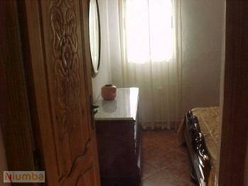 Kolokasie Moguer 124467-4