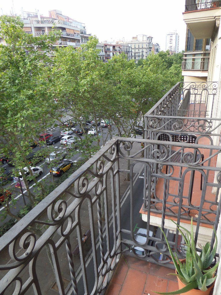 Colocación Barcelona 91859