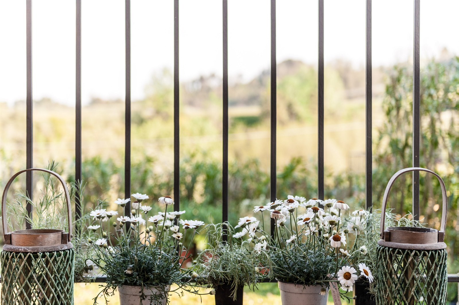 Logement Entier Toscana 189591