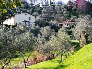 Roomlala | Tenuta Degli Obizzi - Appartement TOSCA