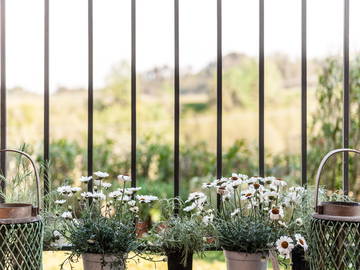 Logement Entier Toscana 189591-9