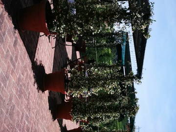 Logement Entier Toscana 189550-5