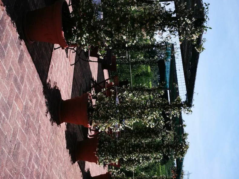 Toda La Casa Toscana 189550-5