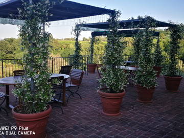 Logement Entier Toscana 180920-12