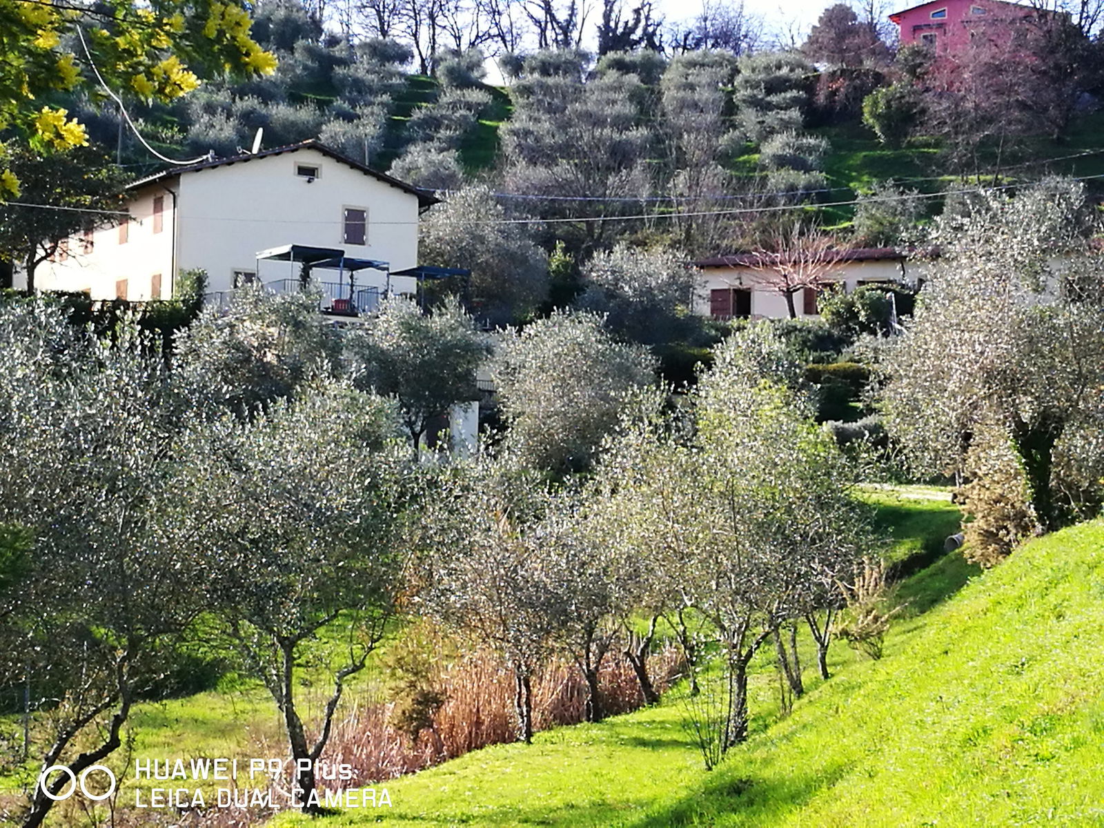 Independent Studio Toscana 189586