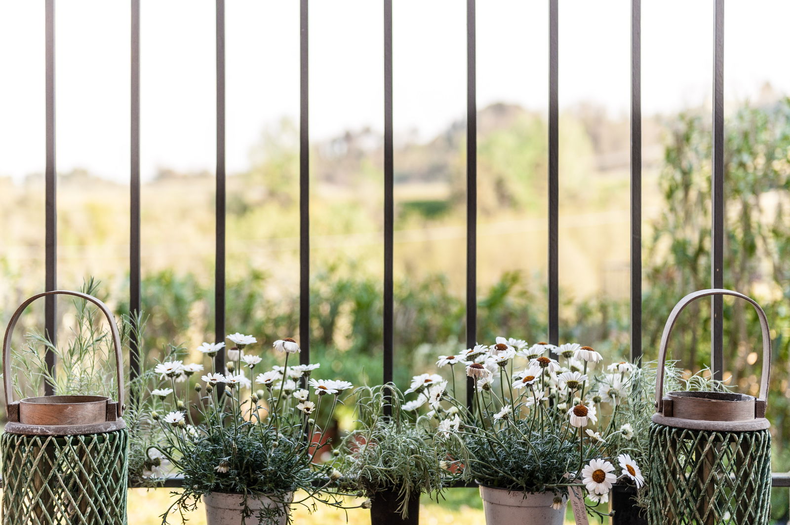 Ganzes Haus Toscana 189591