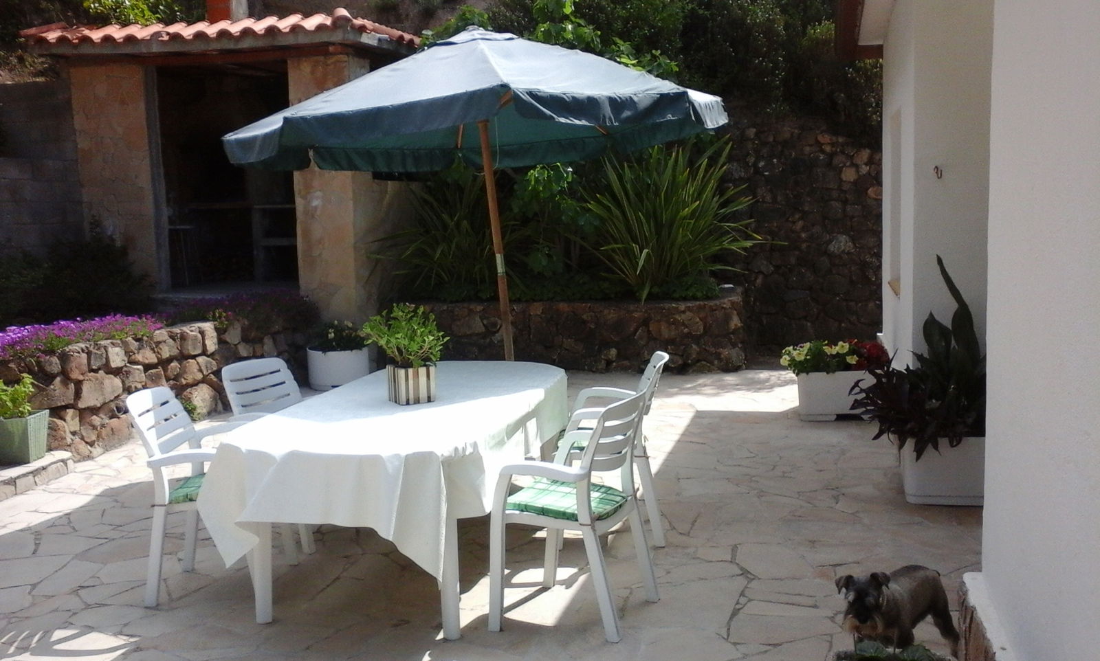 Homestay Terrafortuna 158226