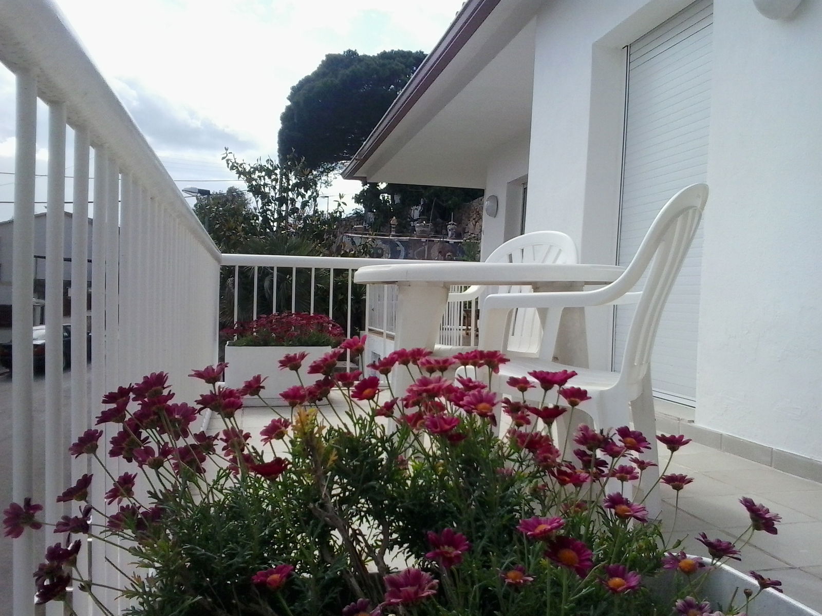 Homestay Terrafortuna 158226