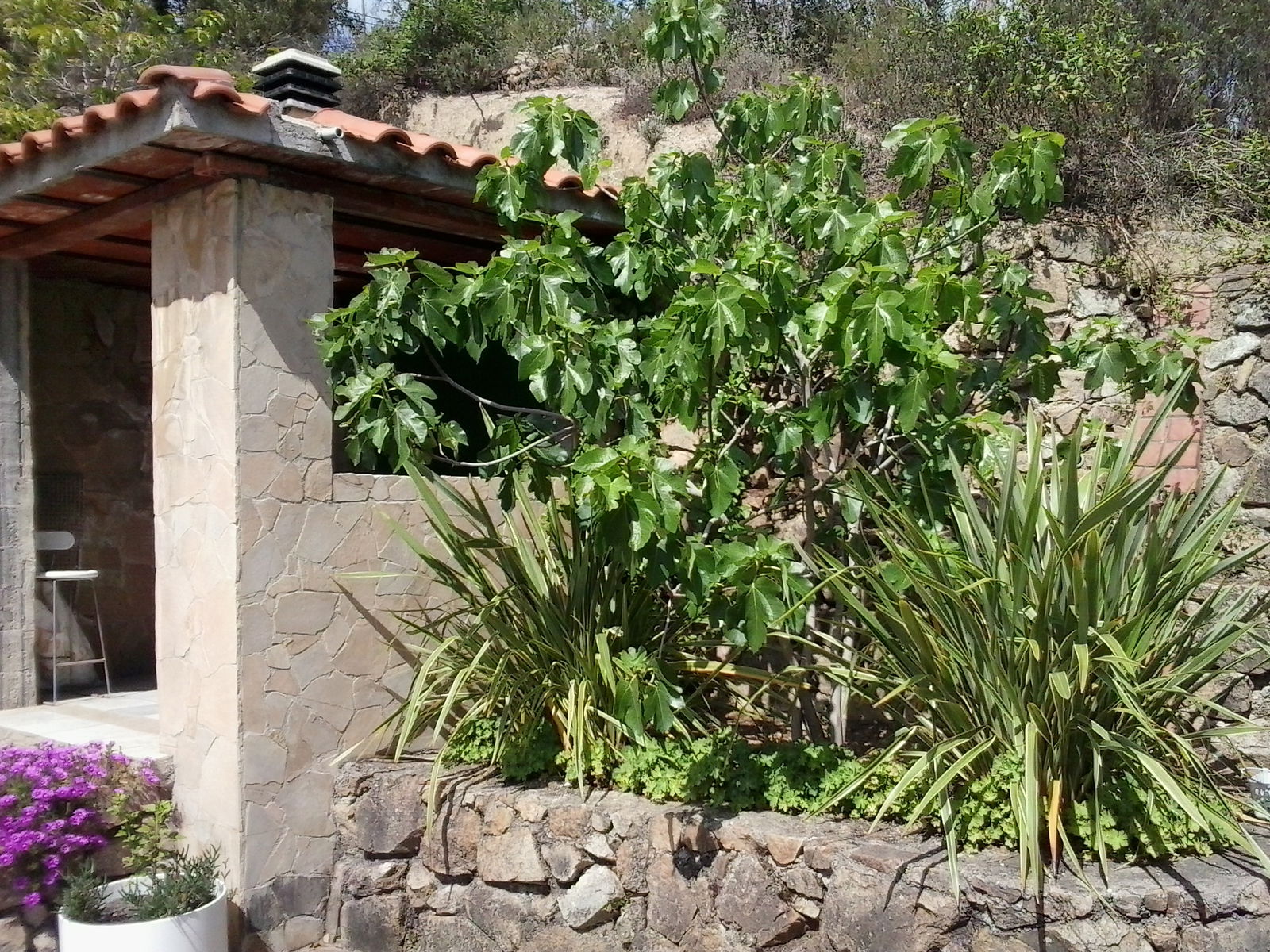 Homestay Terrafortuna 158226