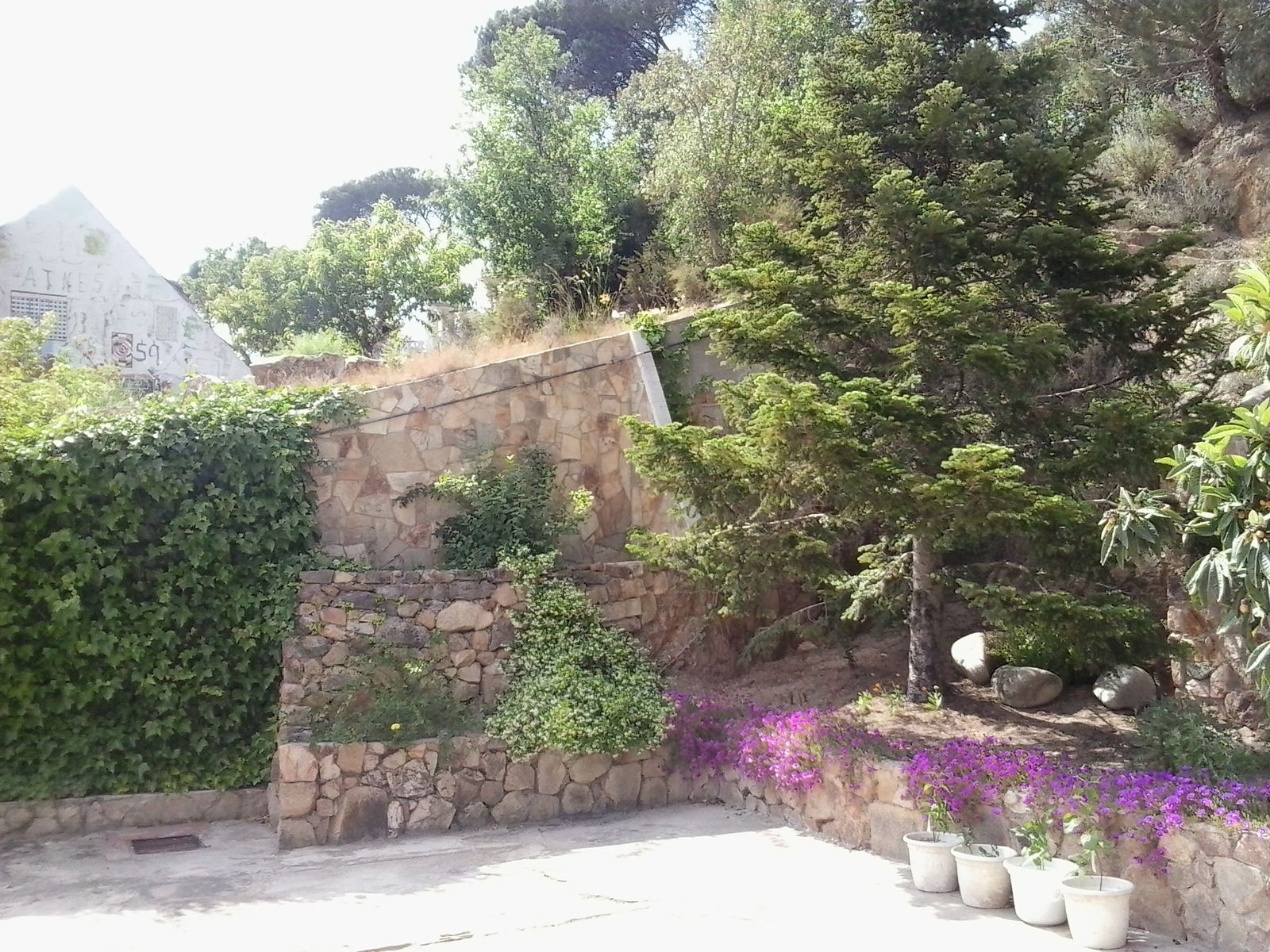 Homestay Terrafortuna 158226