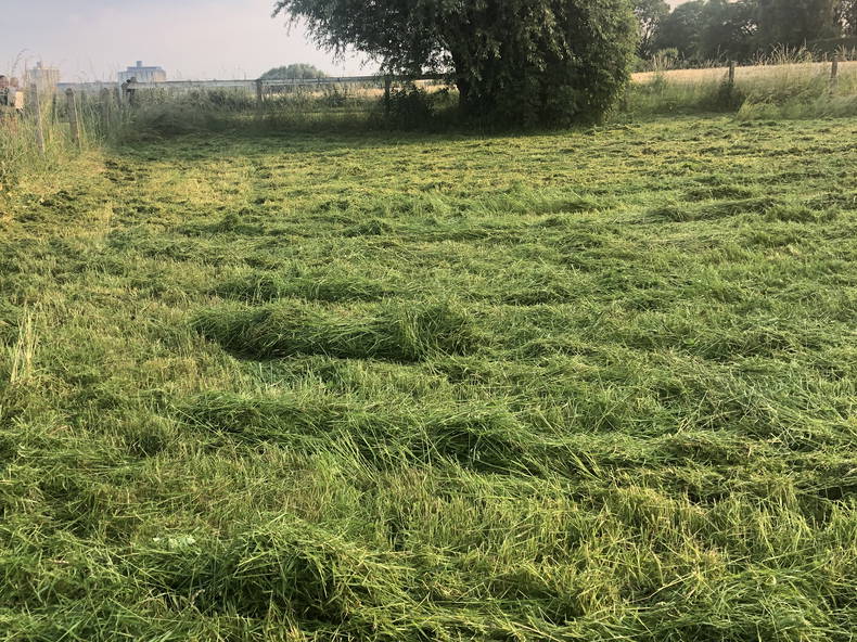 Chambre Chez L'habitant Cantin 603072-3