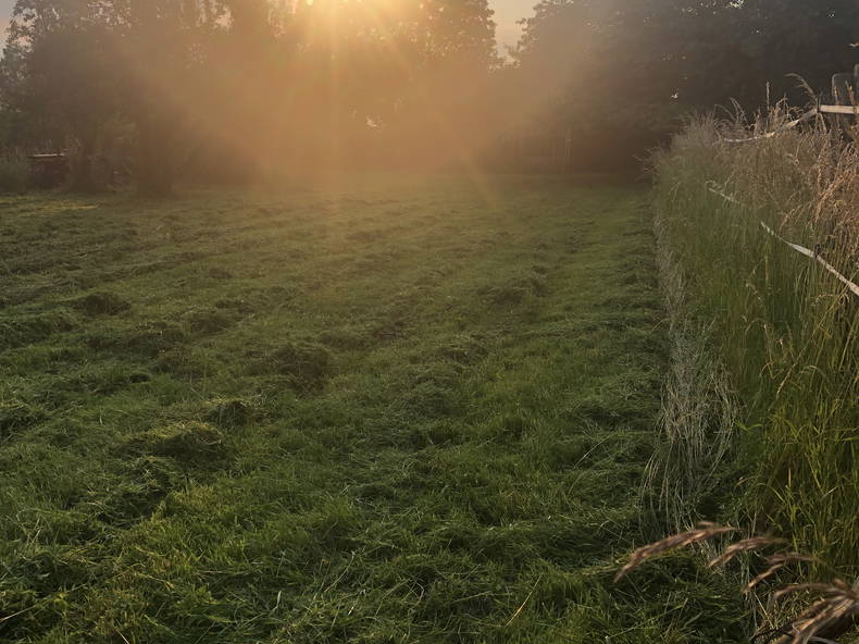 Chambre Chez L'habitant Cantin 603072-4