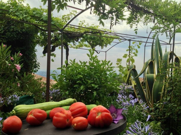 Entire Home Saint-Jeannet 56746-1