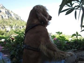 Entire Home Saint-Jeannet 56746-2