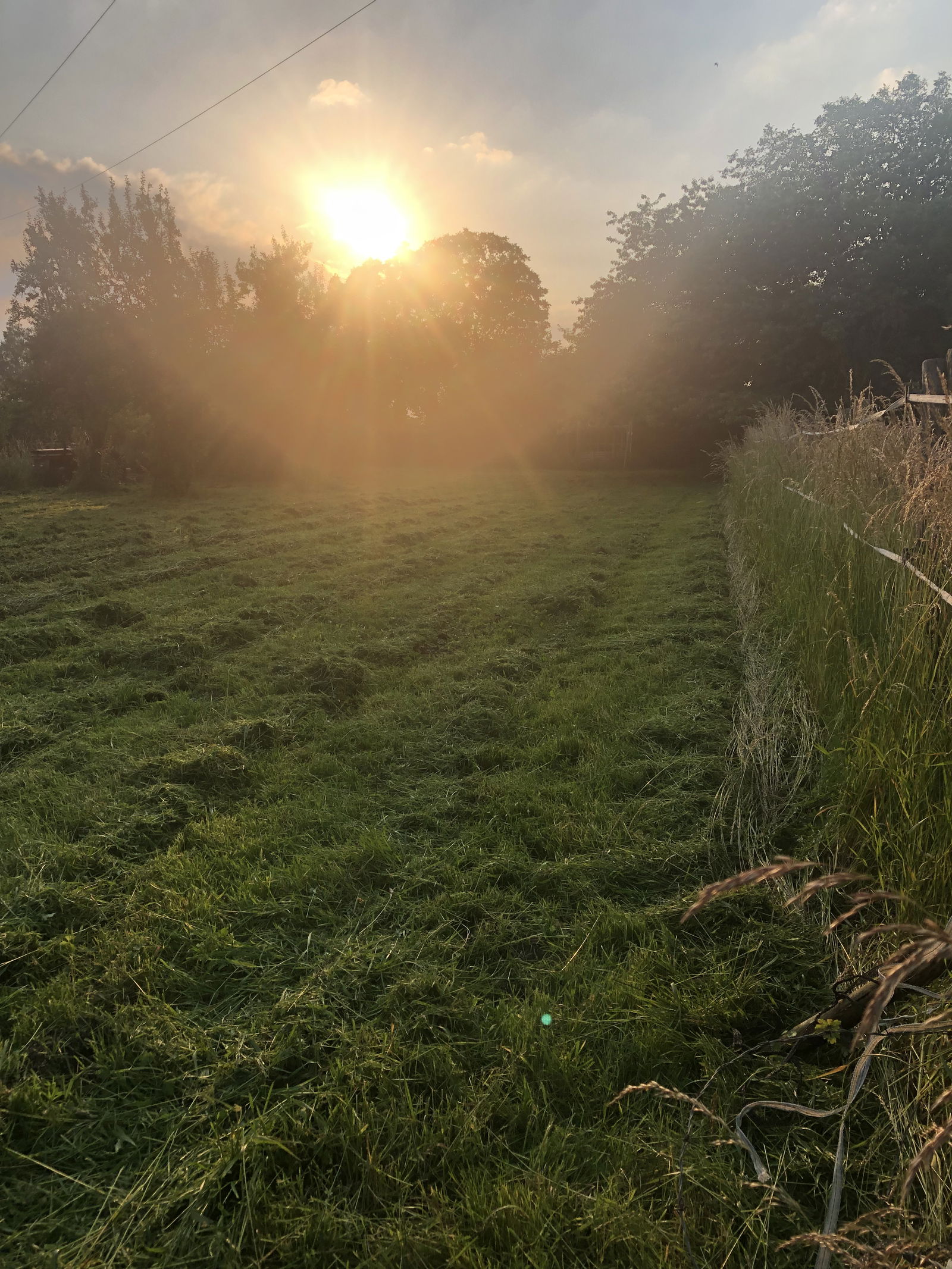 Quedarse En Casa Cantin 603072