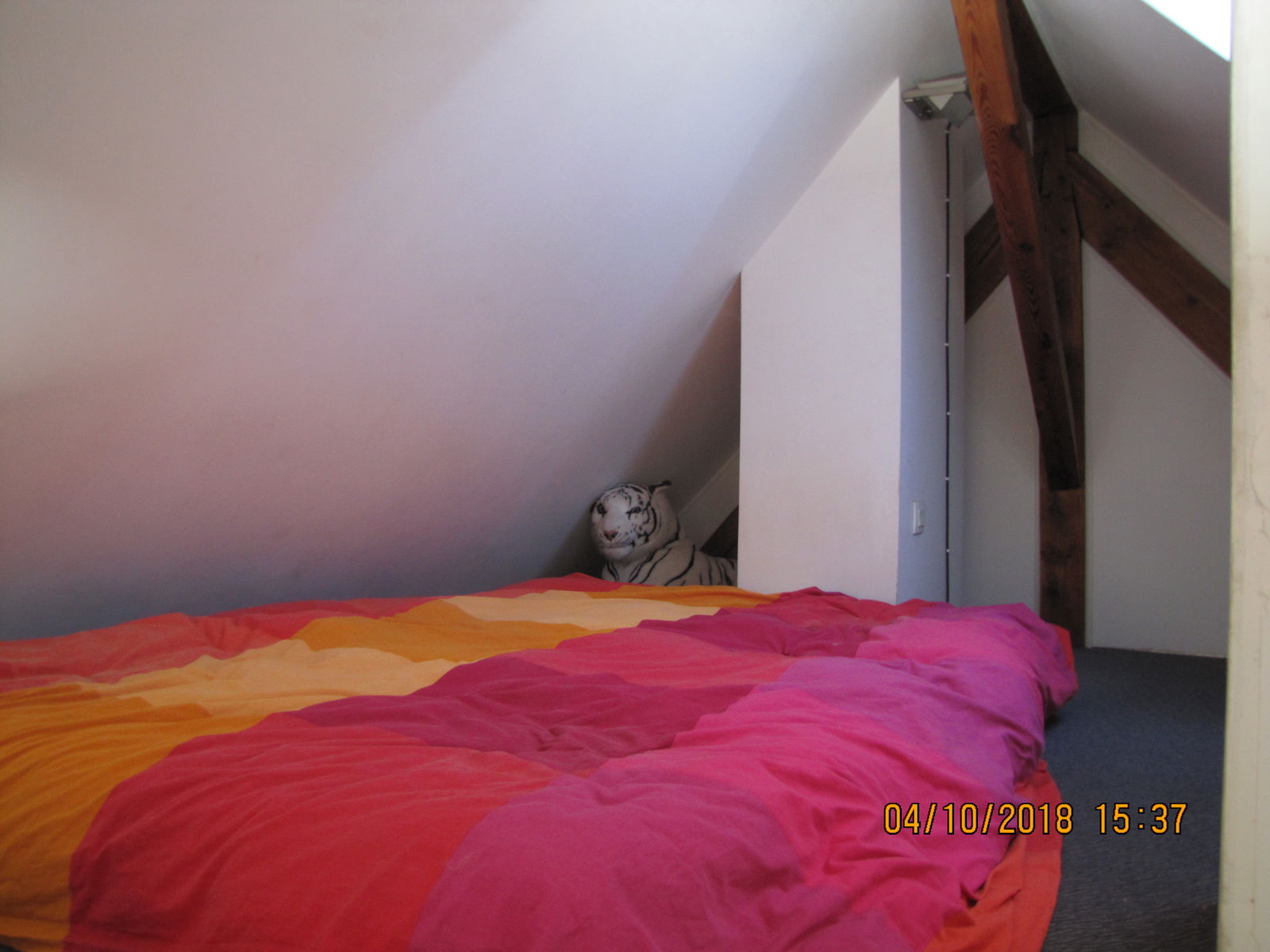 Homestay Molsheim 416047
