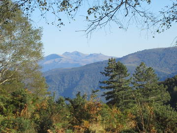 Logement Entier Alzen 150204-4