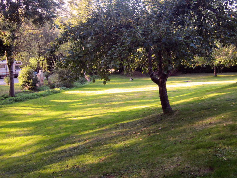 Hele Huis Alzen 150204-5