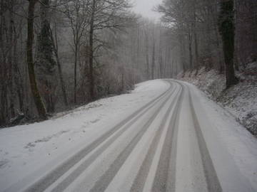 Logement Entier Alzen 150204-8