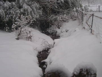 Logement Entier Alzen 150204-11