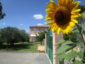 The Bastide In The Shade Of Olive Trees