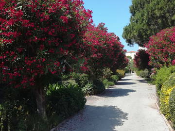 Logement Entier Fréjus 131398-14