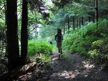 Chambre D'hôte Ouroux 121916-9