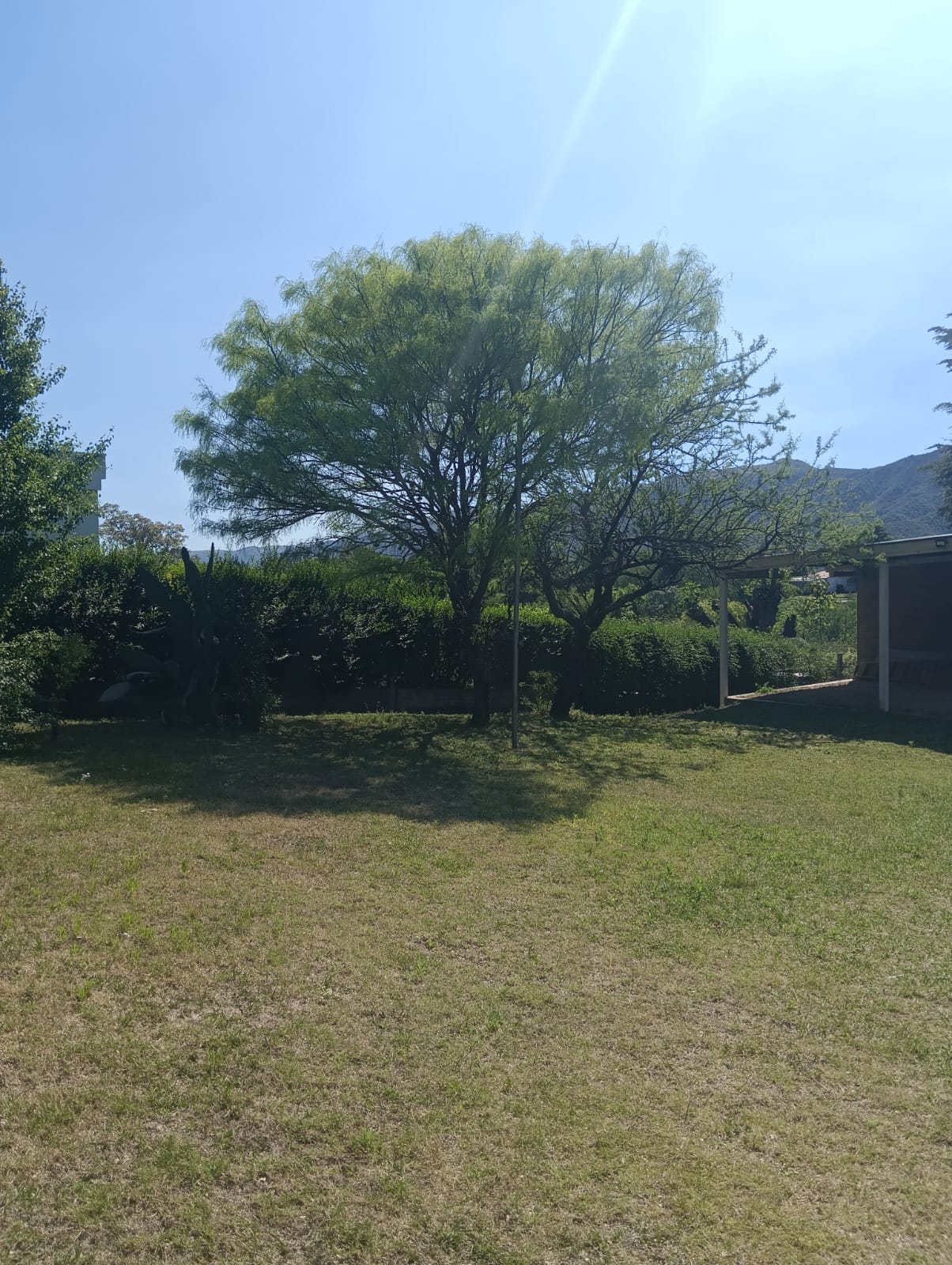 Bed And Breakfast Bialet Massé 628515