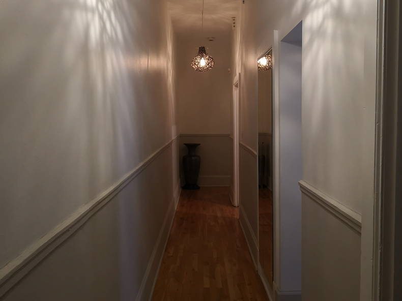 Kolokasie Montréal 122539-4