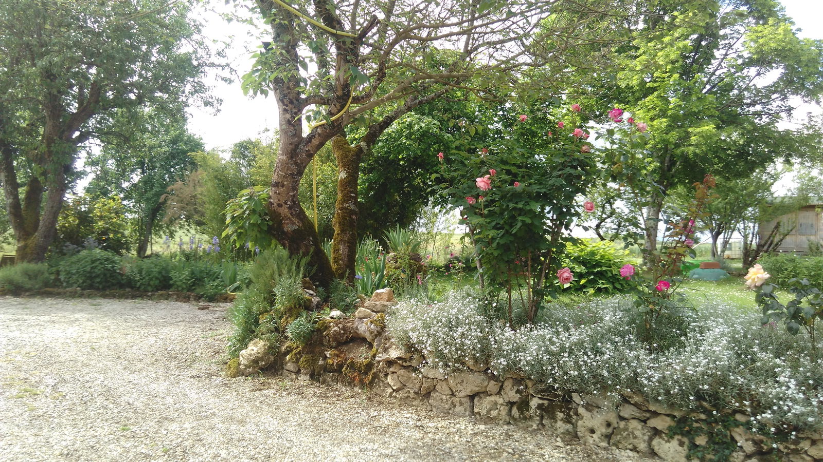 Bed And Breakfast Massoulès 193418