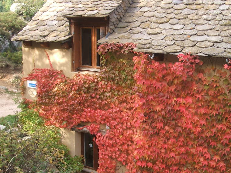 Homestay Le Pont-de-Montvert 193987