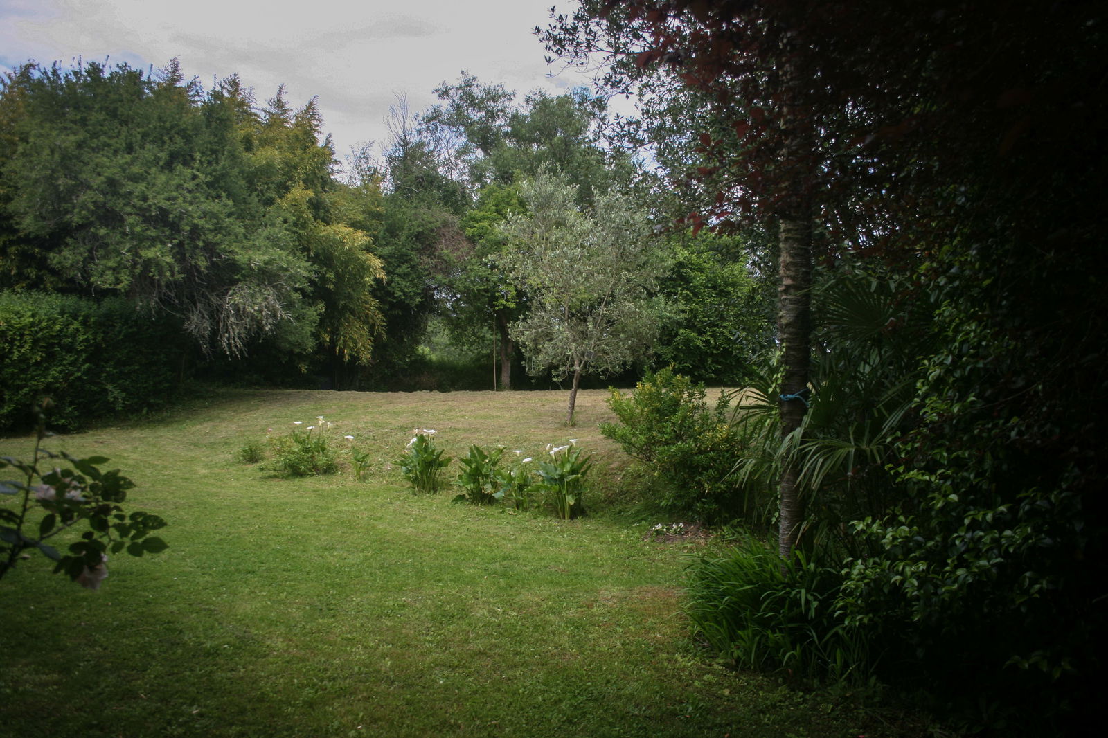 Bed And Breakfast Saubrigues 141175