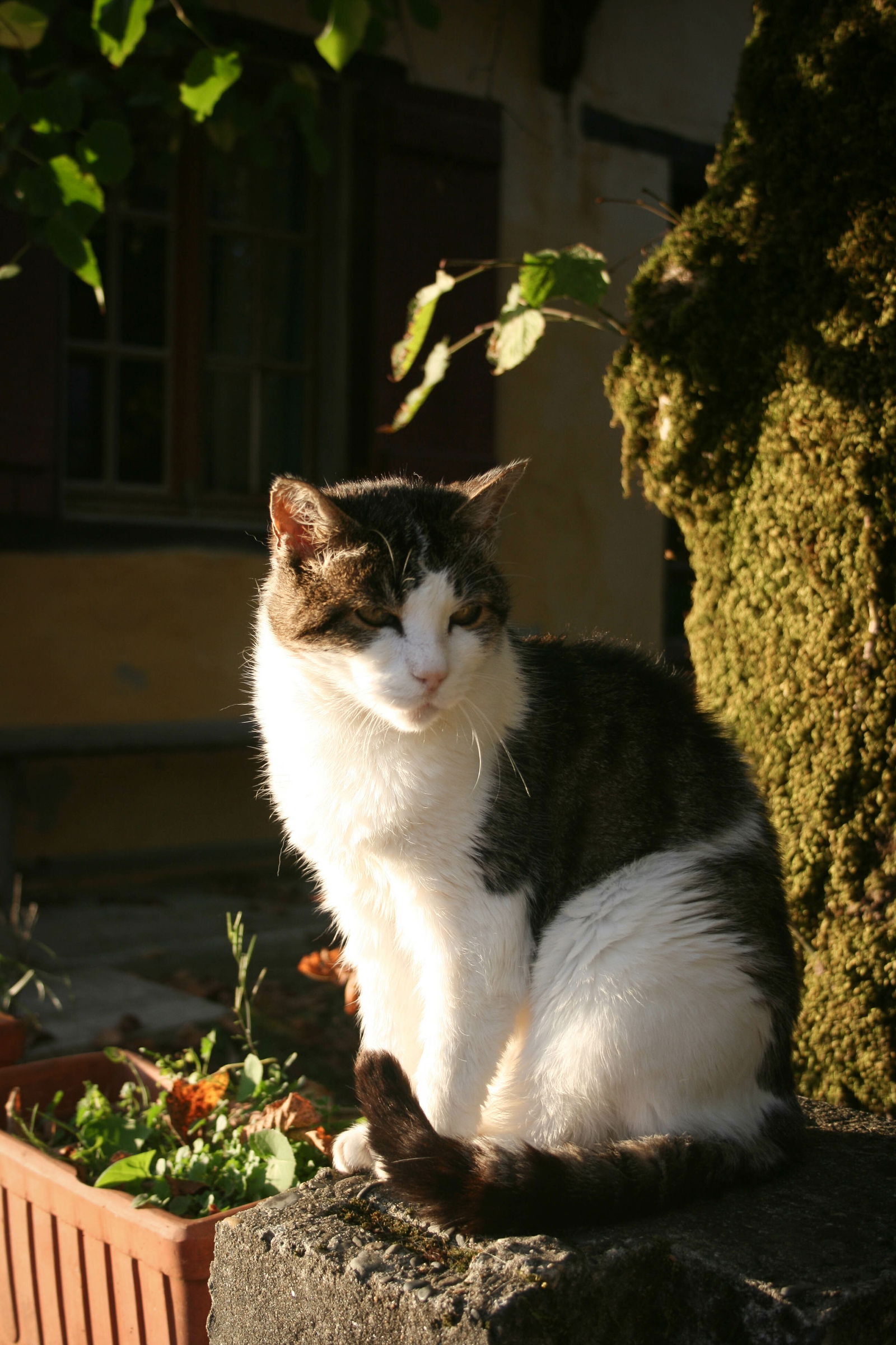 Bed And Breakfast Saubrigues 141175