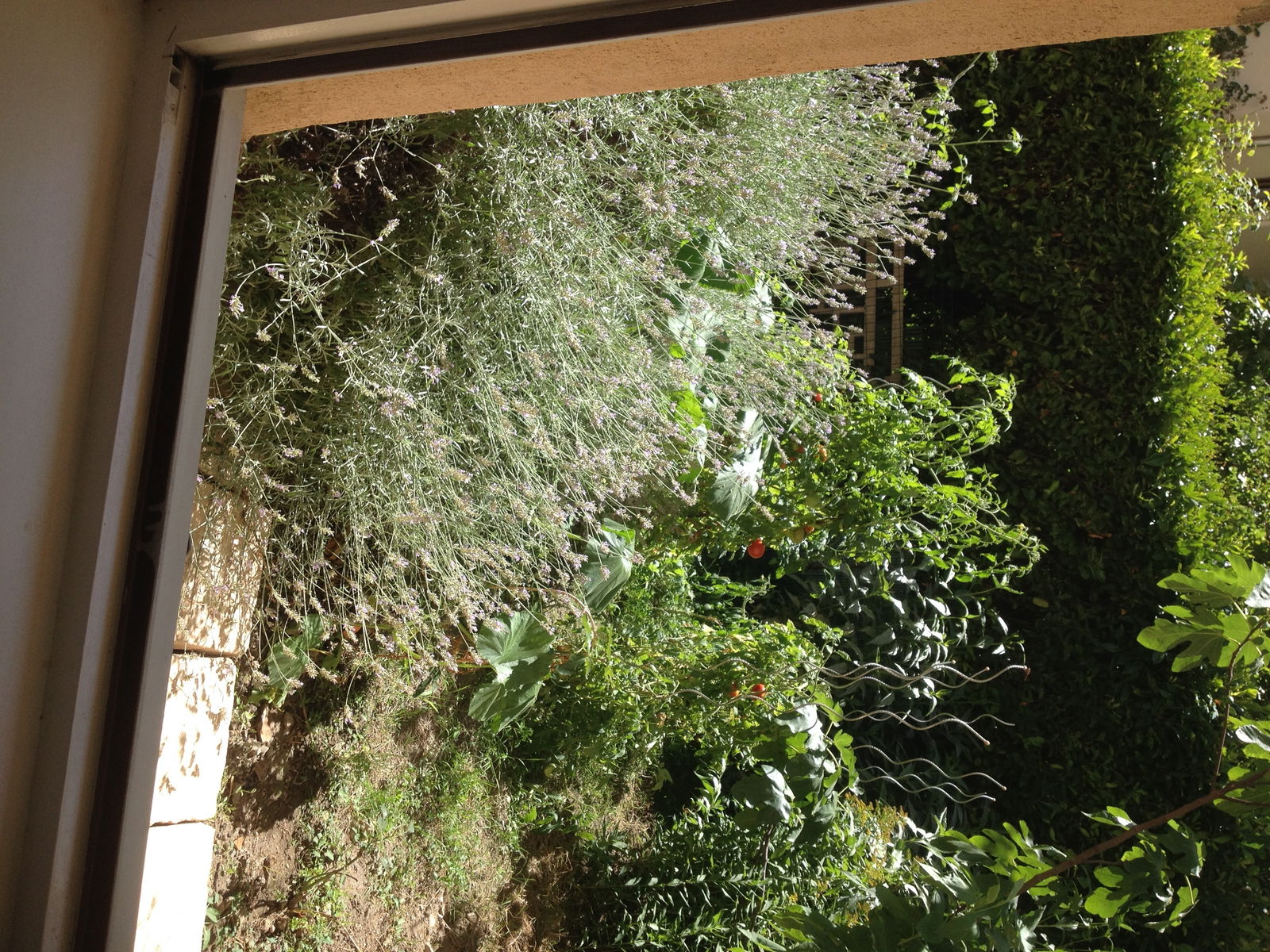 Homestay Lyon 144350