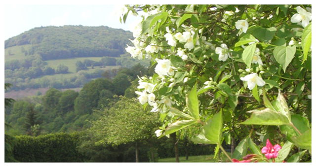 Bed And Breakfast Izeaux 43873