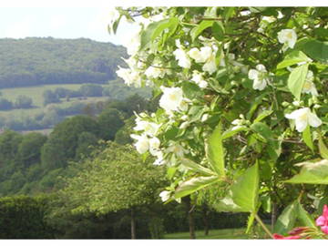 Chambre D'hôte Izeaux 43873-9