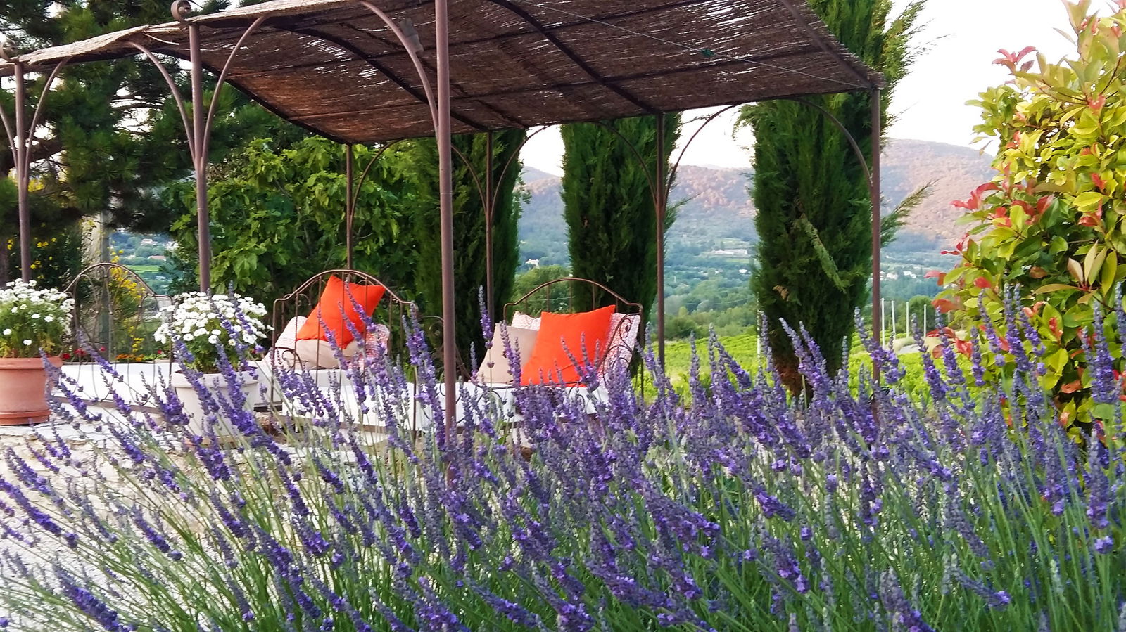 Bed And Breakfast Mollans-sur-Ouvèze 121565