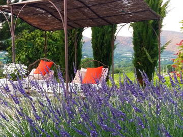 Chambre D'hôte Mollans-Sur-Ouvèze 121565-4