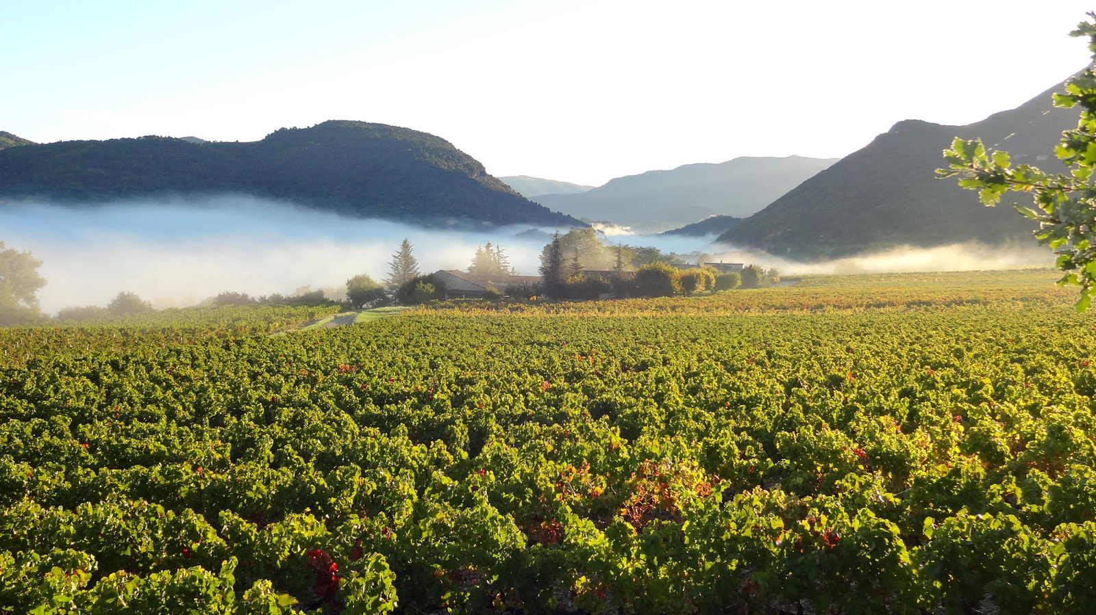 Bed And Breakfast Mollans-sur-Ouvèze 121565