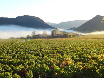 Chambre D'hôte Mollans-Sur-Ouvèze 121565-6