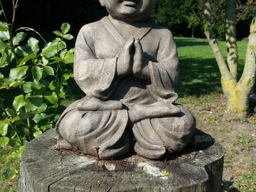 Chambre D'hôte Villers-Bretonneux 171064-8